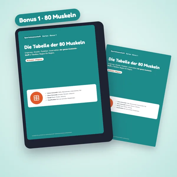 Bonus Die Tabelle der 80 Muskeln