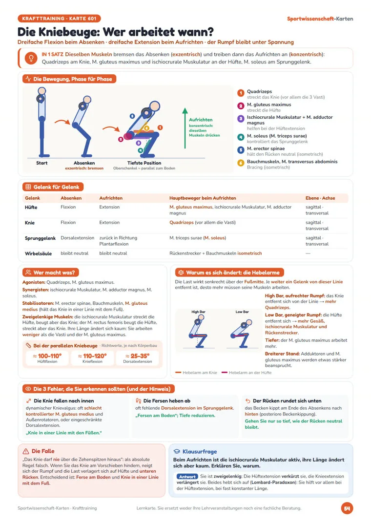 Karte „Die Kniebeuge“ aus den Sportwissenschaft-Karten